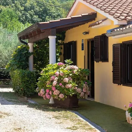 Pelizzar Apartment